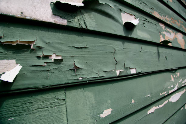 Best James Hardie Siding  in Demopolis, AL