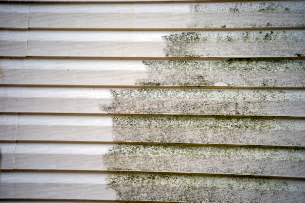 Best Wood Siding Installation  in Demopolis, AL