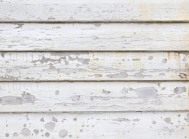 Professional Siding Installation & Repair in Demopolis, AL