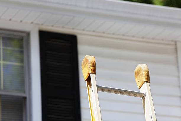 Best Siding for Multi-Family Homes  in Demopolis, AL