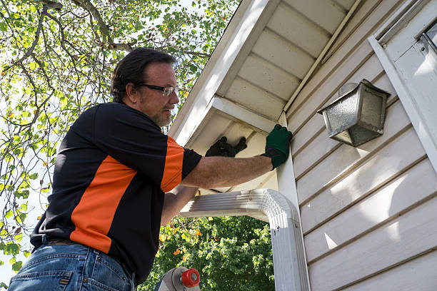 Affordable siding repair and maintenance services in Demopolis, AL